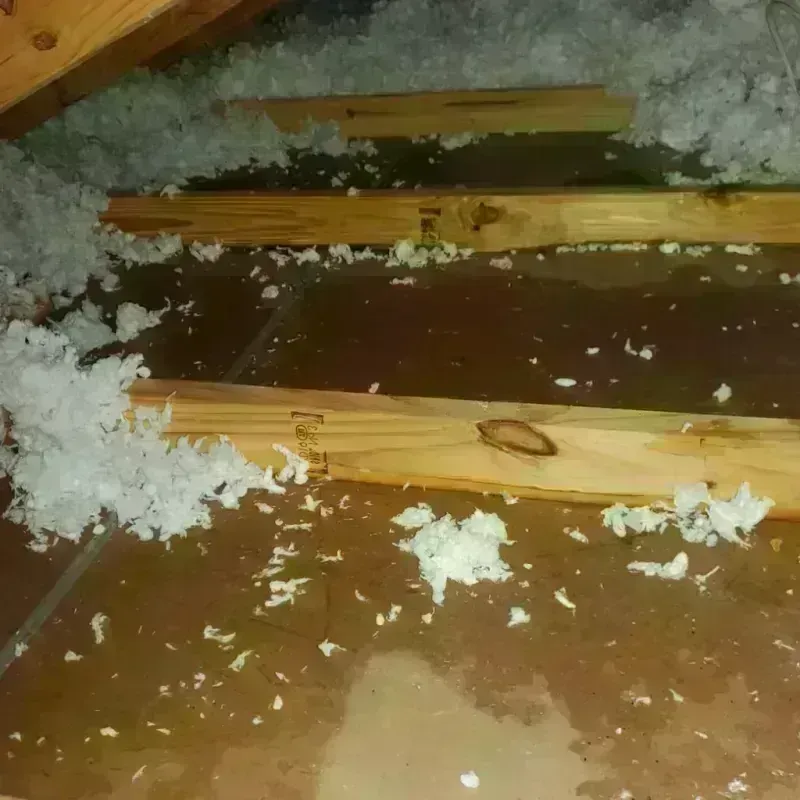 Attic Water Damage in Richmond, TX