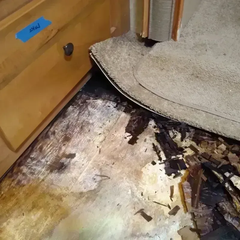 Wood Floor Water Damage in Richmond, TX